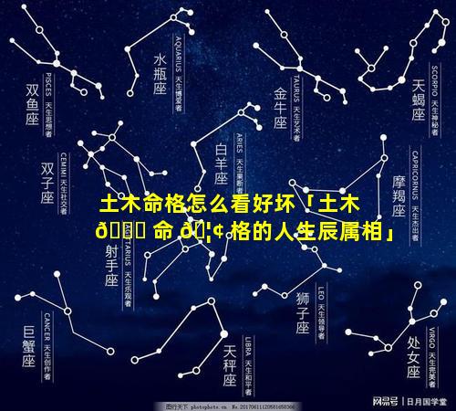 土木命格怎么看好坏「土木 🐎 命 🦢 格的人生辰属相」